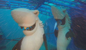Shipwreck Park Underwater Museum | Florida | USA