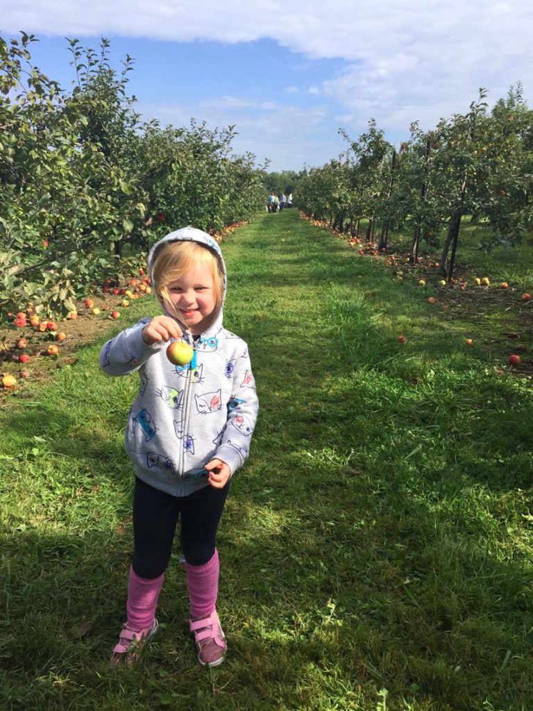 Fall and winter activities in Columbus, OH (USA) | Apple Picking at Lynd's Fruit Farm