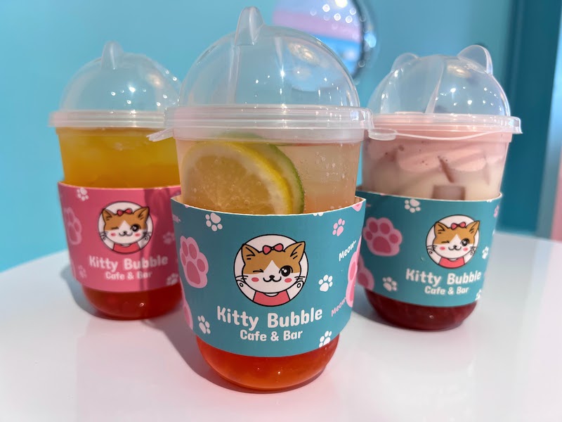 You are currently viewing A Cat Cafe In Columbus, Ohio [Kitty Bubble Cafe & Bar]